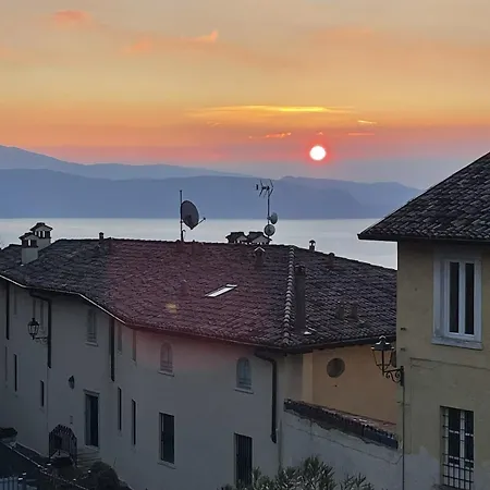 The Hilltop Nest *