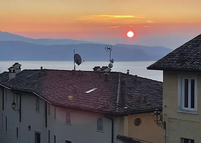 The Hilltop Nest *